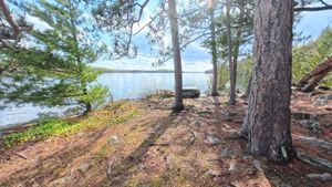 Campsite 1446