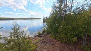 Campsite 1447