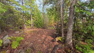 Campsite 1447