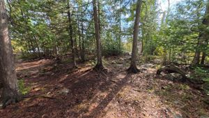 Campsite 1447
