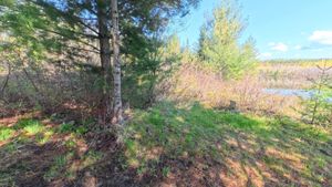 Campsite 1454