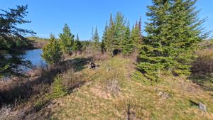Campsite 1455