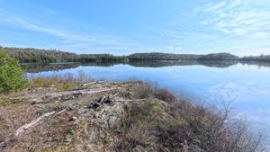 Campsite 1455