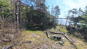 Campsite 1444