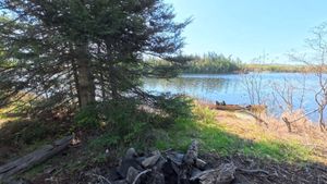 Campsite 2138