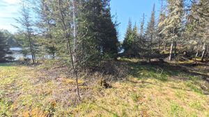 Campsite 2138