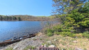 Campsite 1458