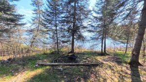 Campsite 1459
