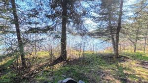 Campsite 1459