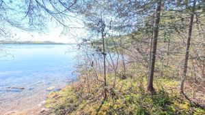 Campsite 1459