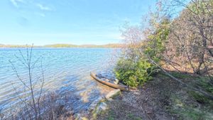 Campsite 1431