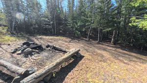 Campsite 1431