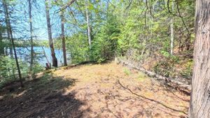 Campsite 1435