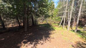 Campsite 1434