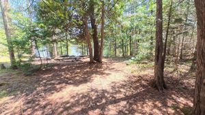 Campsite 1434