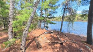 Campsite 1436
