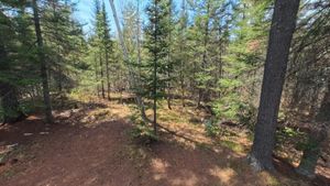 Campsite 1436