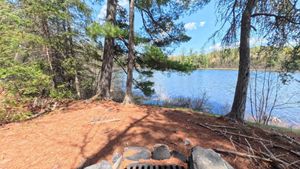 Campsite 1436