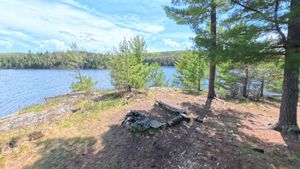 Campsite 1438