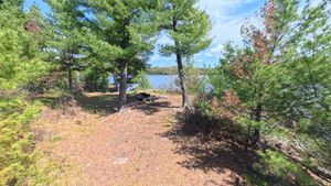 Campsite 1438