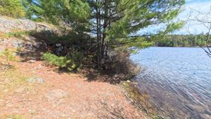 Campsite 1438