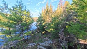 Campsite 1438
