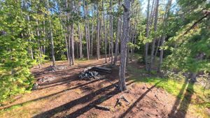 Campsite 1463