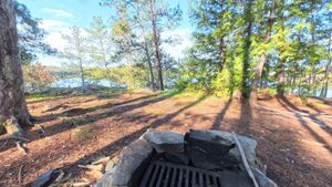 Campsite 1463
