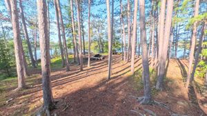 Campsite 1463