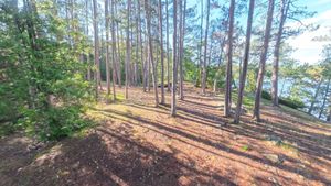 Campsite 1463