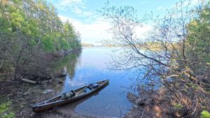Campsite 1464