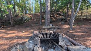 Campsite 1464