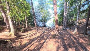Campsite 1464