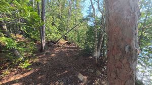 Campsite 1464