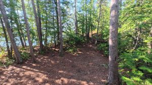 Campsite 1464