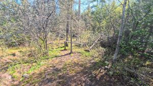 Campsite 2188
