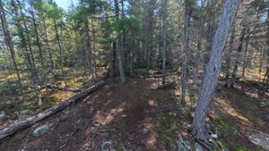 Campsite 2188