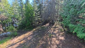 Campsite 2189