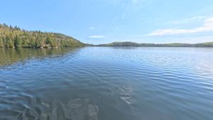 Amoeber Lake