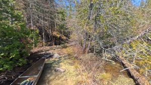 Portage 309