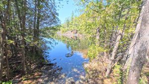Portage 40