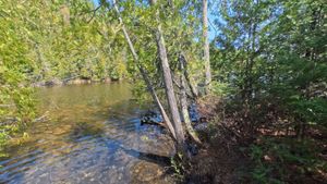 Portage 40
