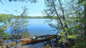 Portage 299