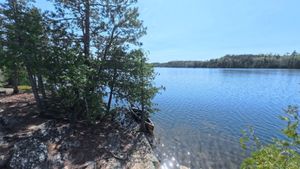 Campsite 324