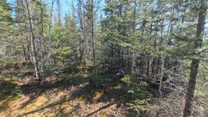 Campsite 324