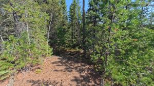 Campsite 324