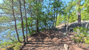 Campsite 324