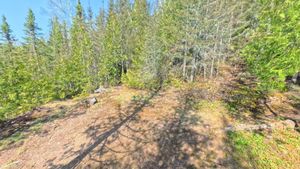 Campsite 328