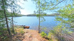 Campsite 329