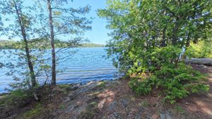 Campsite 329